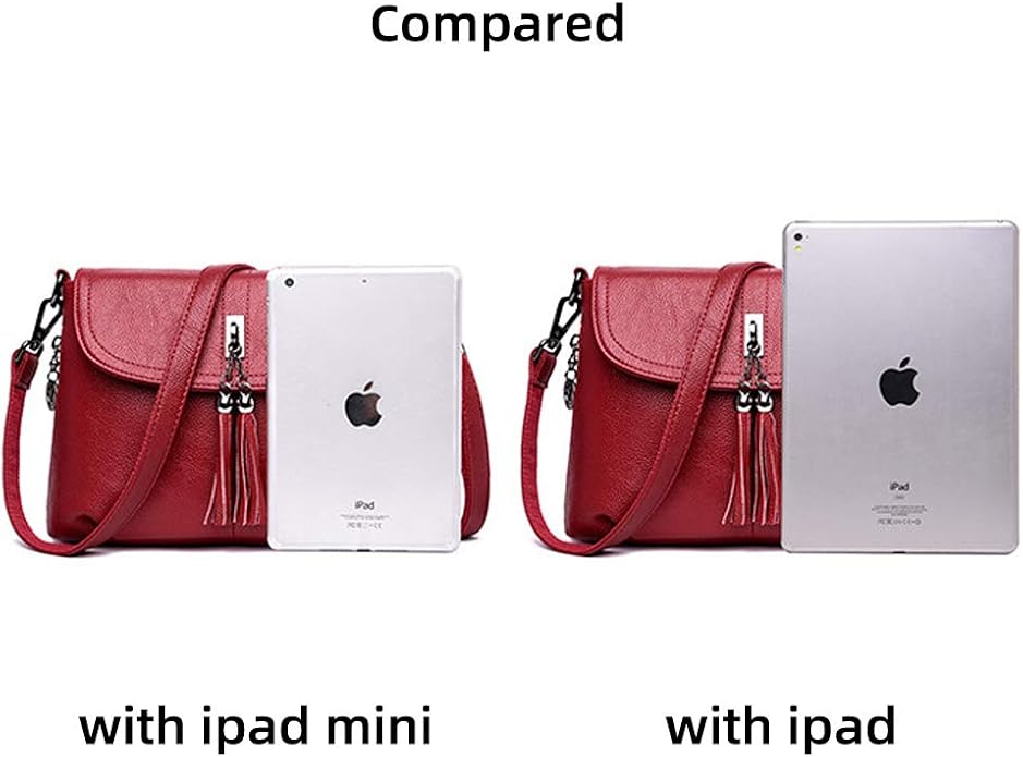 MINTEGRA Crossbody Bag for Women with Tassel Functional Shoulder Purse Saddle Messenger Bag