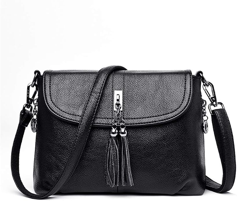 MINTEGRA Crossbody Bag for Women with Tassel Functional Shoulder Purse Saddle Messenger Bag