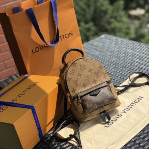 Louis Vuitton Palm Springs Mini Backpack Color-Block Edition